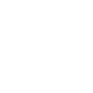 alberto sassi | گروه مهندسی و بازرگانی فطرس