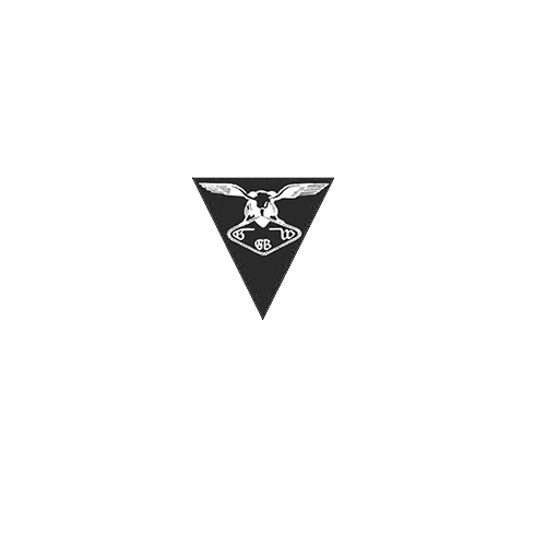 Gustav Wolf PAWO 819W Wire Rope | گروه مهندسی و بازرگانی فطرس