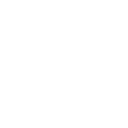 Ziehl Abegg Lift SM250.60B | گروه مهندسی و بازرگانی فطرس