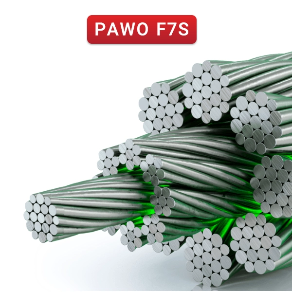 Gustav Wolf PAWO F3 Wire Rope | گروه مهندسی و بازرگانی فطرس